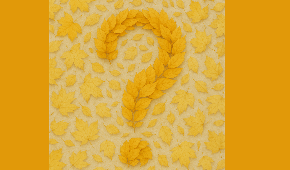 How does buyer behavior change in September